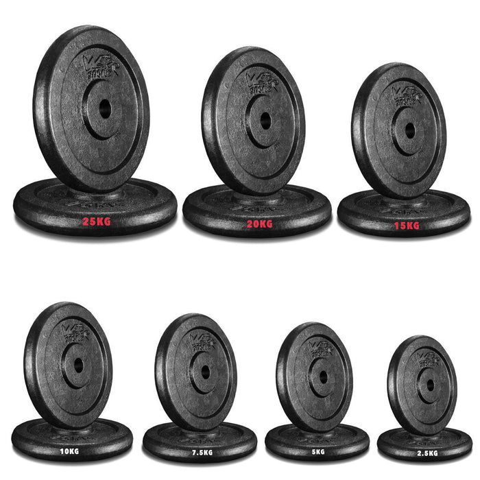 1" CastXPlate Cast Iron Weight Plate from WeRSports 2