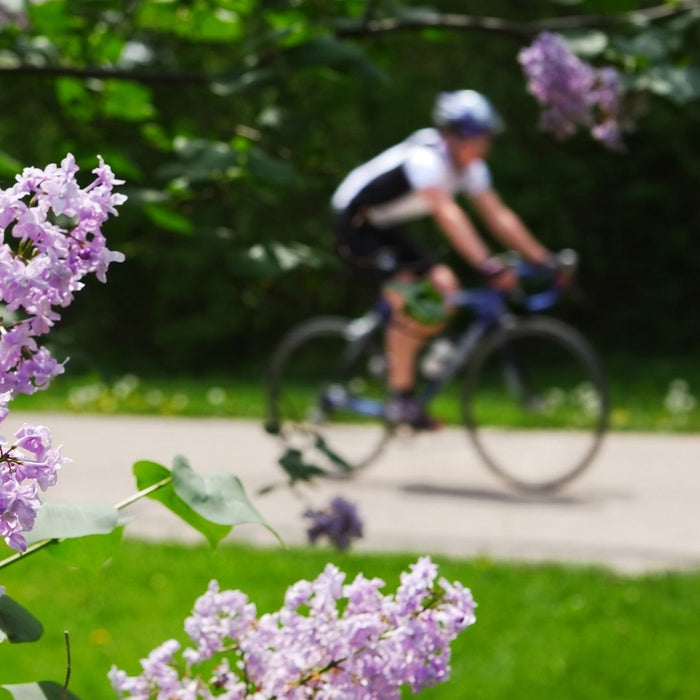 a person on a bike in the spring