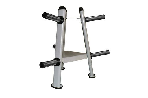 51sxzuzwpkl we r sports olympic weight plate rack stand storage for 2 plates 6 disc holders