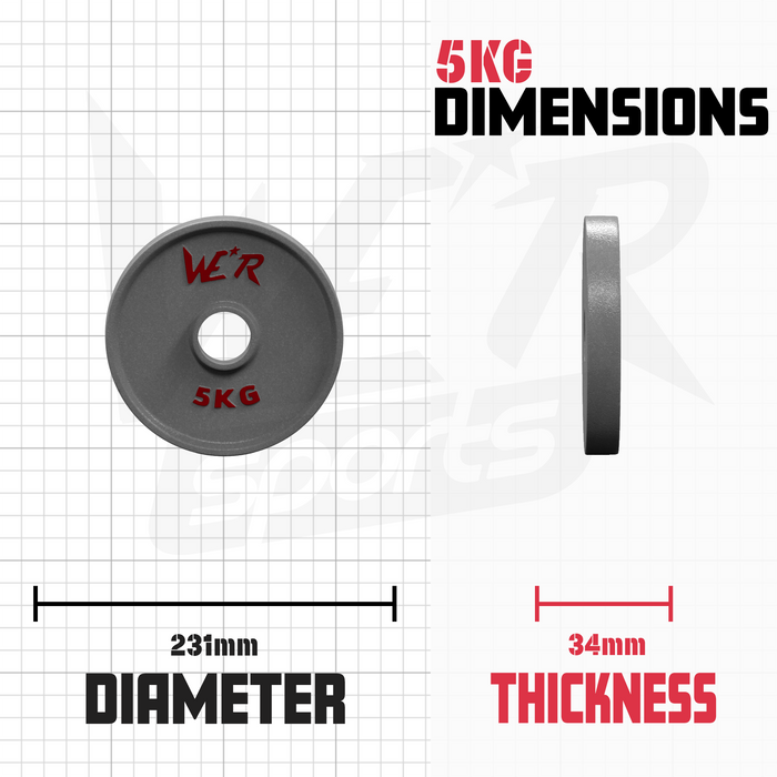 2 inch weight plates deals