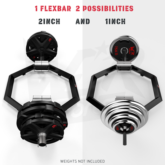 Adjustable training using only 1 flexbar by WeRSports