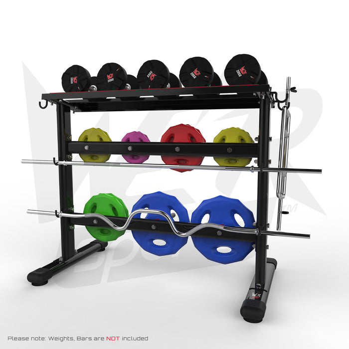 Dumbbell and weight plate storage rack with weights