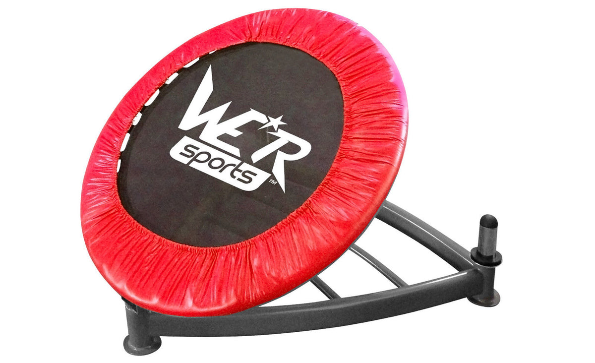 Medicine Ball Rebounder