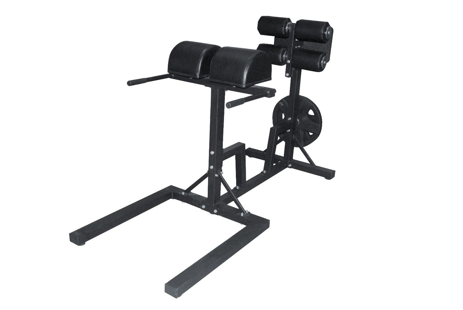 Glute Ham Developer Raise Machine GHD Back Extension Core Gym Strength