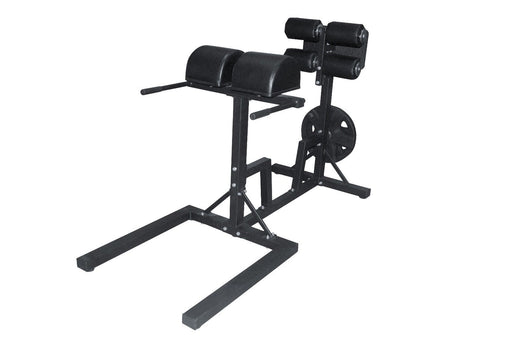 s l1600 94 glute ham developer raise machine ghd back extension core gym strength training